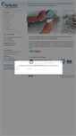 Mobile Screenshot of neledzicleaning.co.za